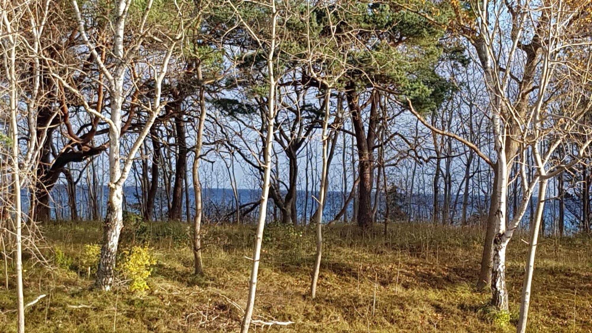 Traum Fewo Strandliebe Mit Meerblick, 3 Schlafzimmer, 2 Baeder Остзебад Бинц Екстериор снимка